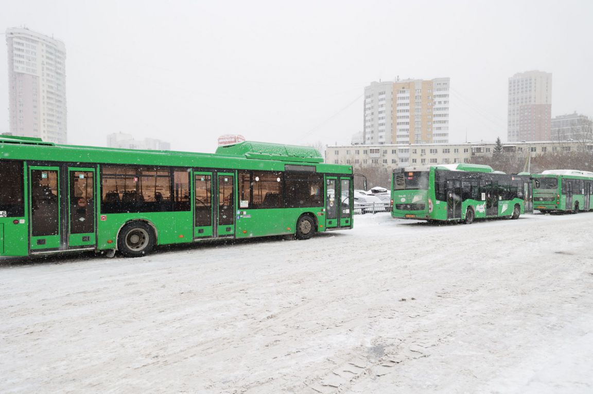 В мэрии Екатеринбурга выбрали маршруты для новых низкопольных автобусов -  «Уральский рабочий»